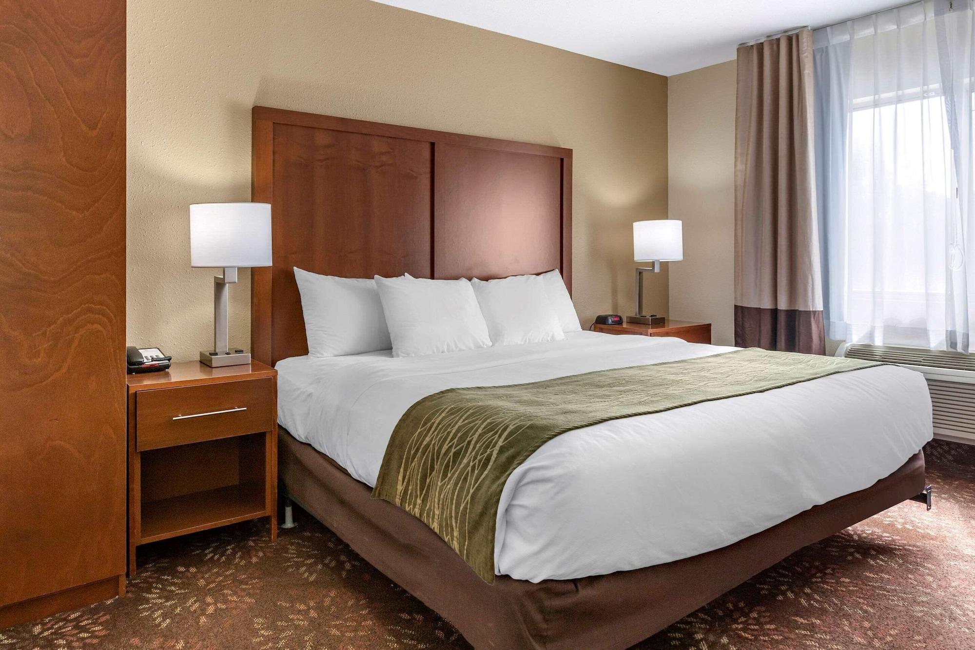 Comfort Inn Okemos - East Lansing Exterior foto